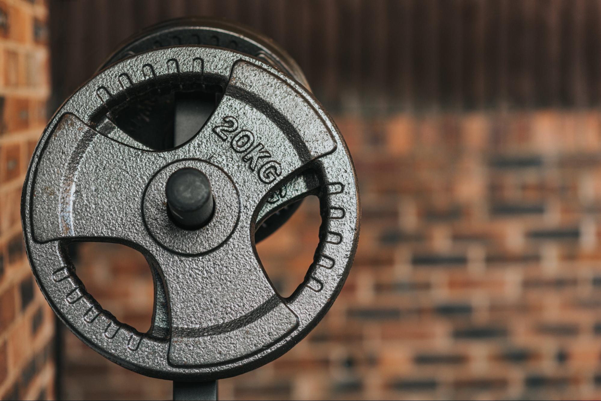 a weight plate that you might find in a gym